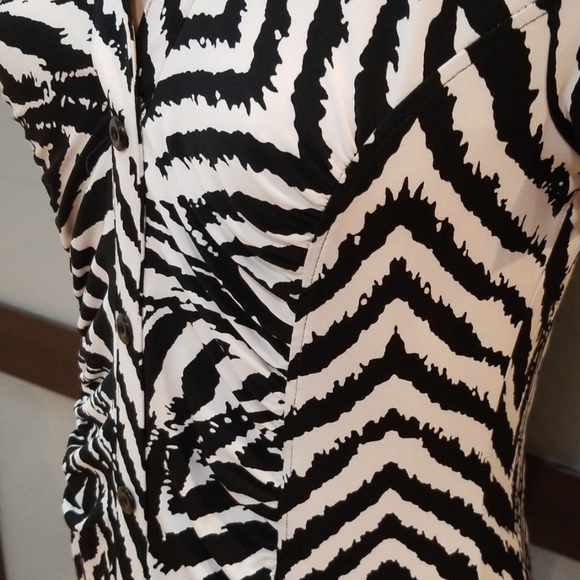 Zebra Print Dress - Picture 3 of 8